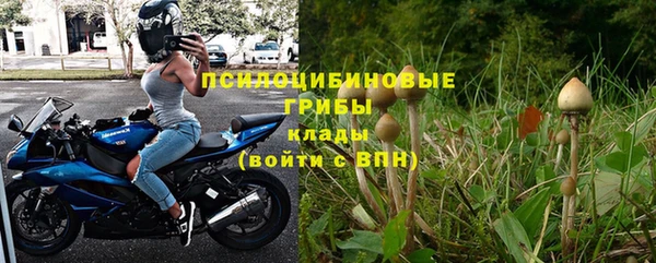 СК Алексеевка
