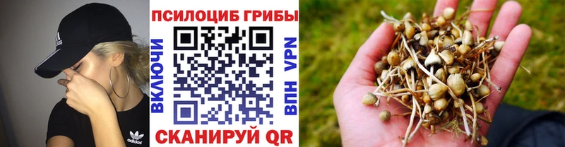 Галлюциногенные грибы GOLDEN TEACHER  маркетплейс официальный сайт  Беломорск 