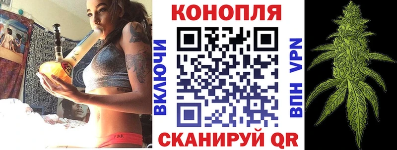 Конопля план  Беломорск 